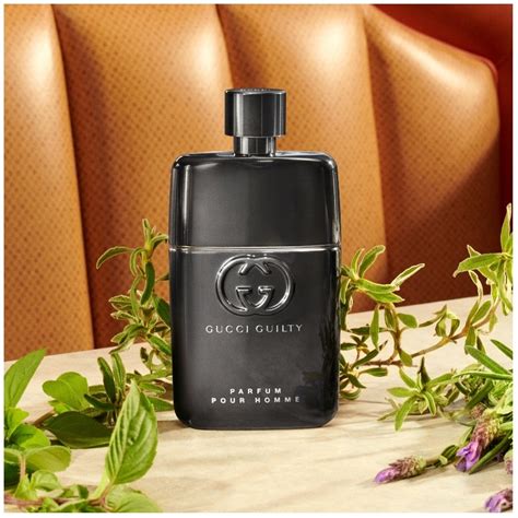 gucci guilty pour homme iperfumy|Gucci Guilty Pour homme fragrantica.